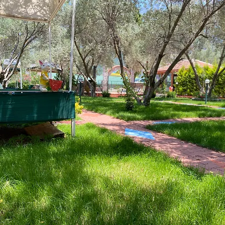 Doga Hotel 3*
