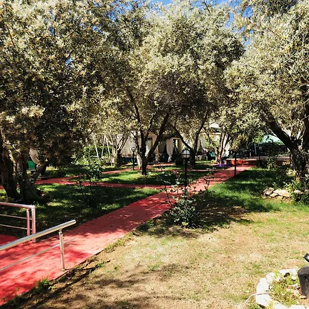 Doga Oludeniz