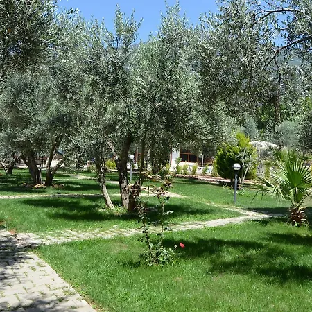 Doga Hotel Ölüdeniz